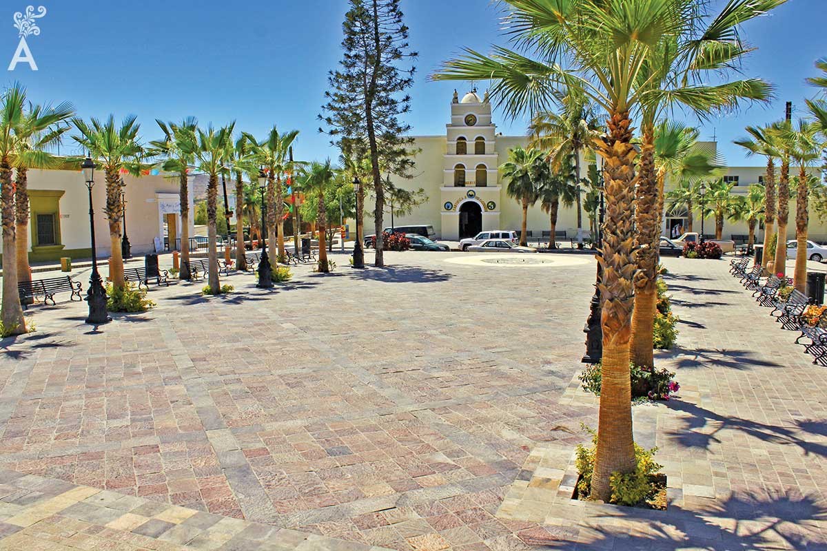 Visit Todos Santos