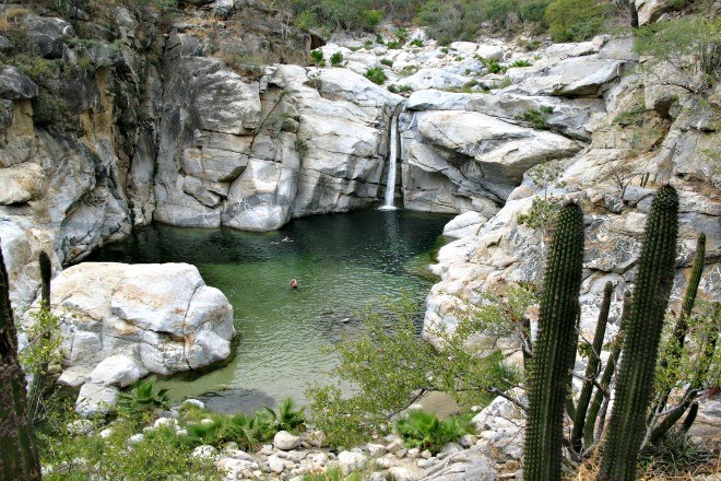 oasis-of-san-ignacio