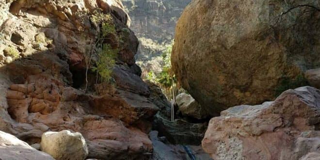 Tabor Canyon in Loreto