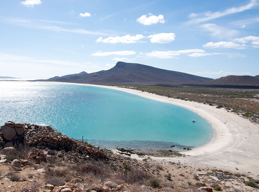 Bay of the Dead