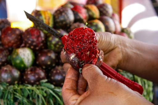 Pitahaya Fair in Los Cabos