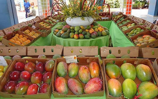 Take advantage of the mango season