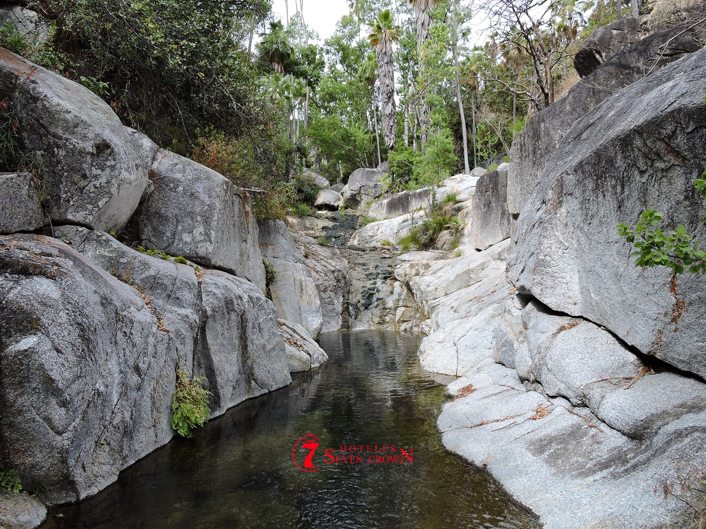 Exploring the Sierra de la Laguna: Baja California Sur’s Oasis of Biodiversity