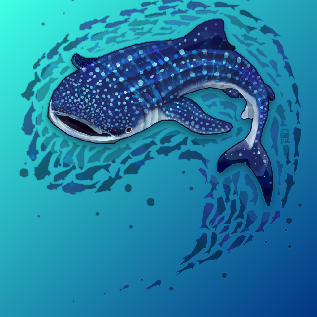 Tiburón-ballena-rodeado-peces