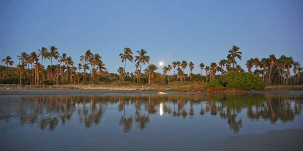 Esta imagen tiene un atributo ALT vacío; su nombre de archivo es playa-las-palmas.jpg