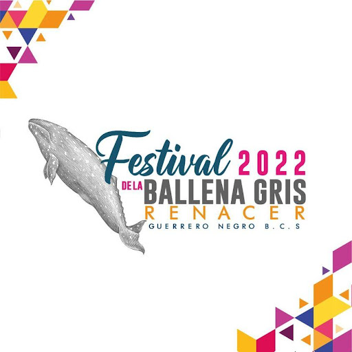 Festival de la ballena gris 2022